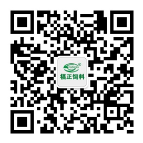 LED灯杆屏|LED广告机|深圳灯杆屏厂家-京戟智显